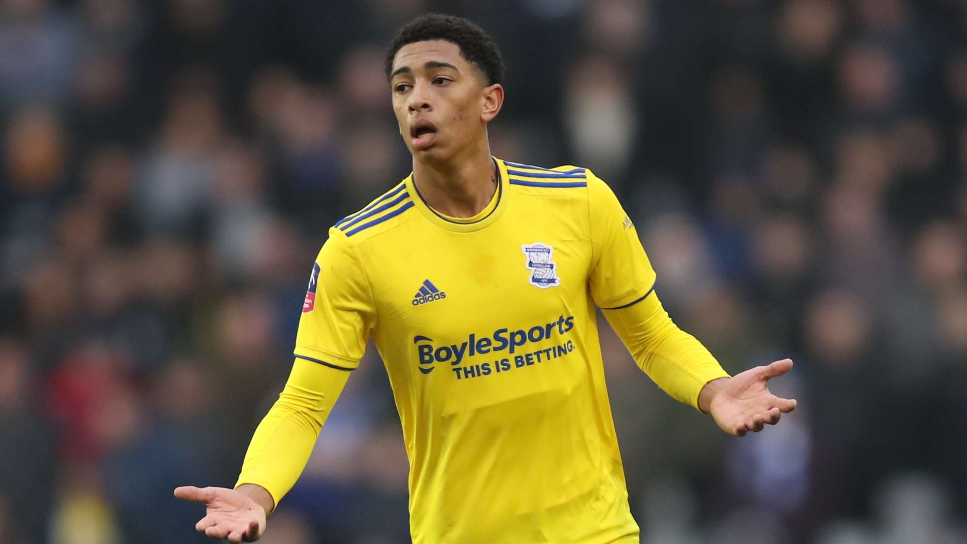 马格诺头球 马格诺头球