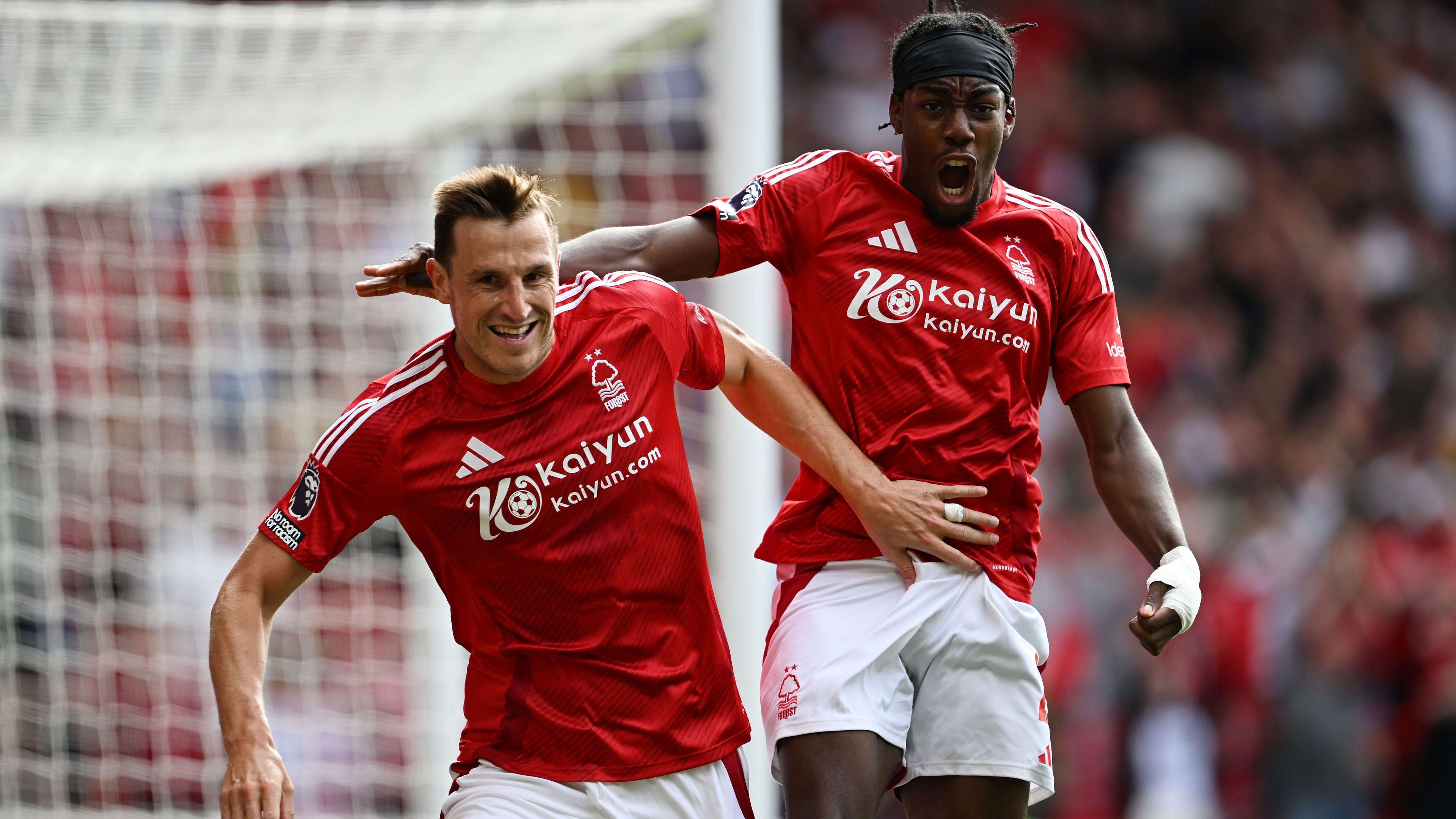 对该领域的 对该领域的